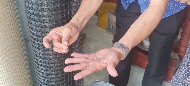 Phát hiện ‘gạo lạ’ ở Hậu Giang- Ảnh 1. Phát hiện ‘gạo lạ’ ở Hậu Giang- Ảnh 1.