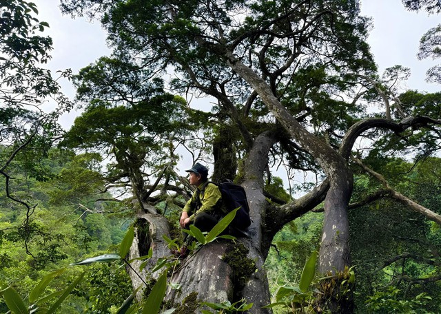 Những kho báu ở Phong Nha - Kẻ Bàng- Ảnh 3. Những kho báu ở Phong Nha - Kẻ Bàng- Ảnh 3.