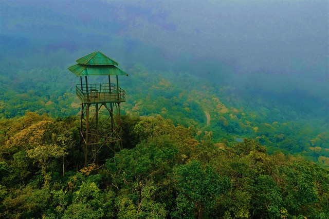Những kho báu ở Phong Nha - Kẻ Bàng- Ảnh 1. Những kho báu ở Phong Nha - Kẻ Bàng- Ảnh 1.