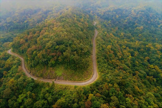 Những kho báu ở Phong Nha - Kẻ Bàng- Ảnh 2. Những kho báu ở Phong Nha - Kẻ Bàng- Ảnh 2.
