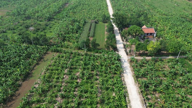 Hà Nội: Rút gọn quy trình về đất đai và không thu phí để xóa nhà tạm, nhà dột nát- Ảnh 1. Hà Nội: Rút gọn quy trình về đất đai và không thu phí để xóa nhà tạm, nhà dột nát- Ảnh 1.
