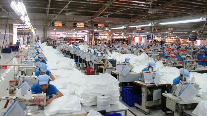 Doanh nghiệp khởi nghiệp được miễn thuế 2 năm đầu, 50% cho 4 năm tiếp theo- Ảnh 2. Doanh nghiệp khởi nghiệp được miễn thuế 2 năm đầu, 50% cho 4 năm tiếp theo- Ảnh 2.
