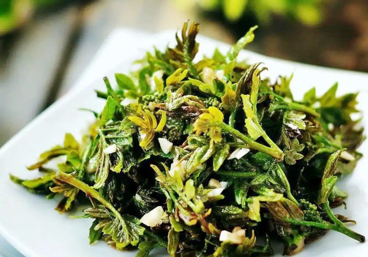 Cây xưa chỉ trồng lấy quả, nay ngắt lá đem bán cũng ra tiền- Ảnh 2. Cây xưa chỉ trồng lấy quả, nay ngắt lá đem bán cũng ra tiền- Ảnh 2.