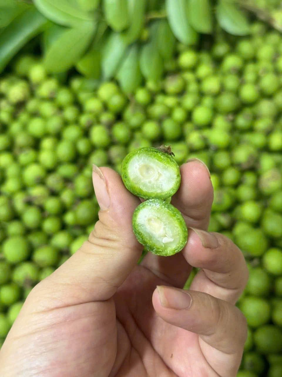 Loại quả chát xít, ngày xưa ăn với muối ớt “cho vui”, giờ thành đặc sản phố cổ Hà Nội khiến khách Tây phát cuồng- Ảnh 5. Loại quả chát xít, ngày xưa ăn với muối ớt “cho vui”, giờ thành đặc sản phố cổ Hà Nội khiến khách Tây phát cuồng- Ảnh 5.