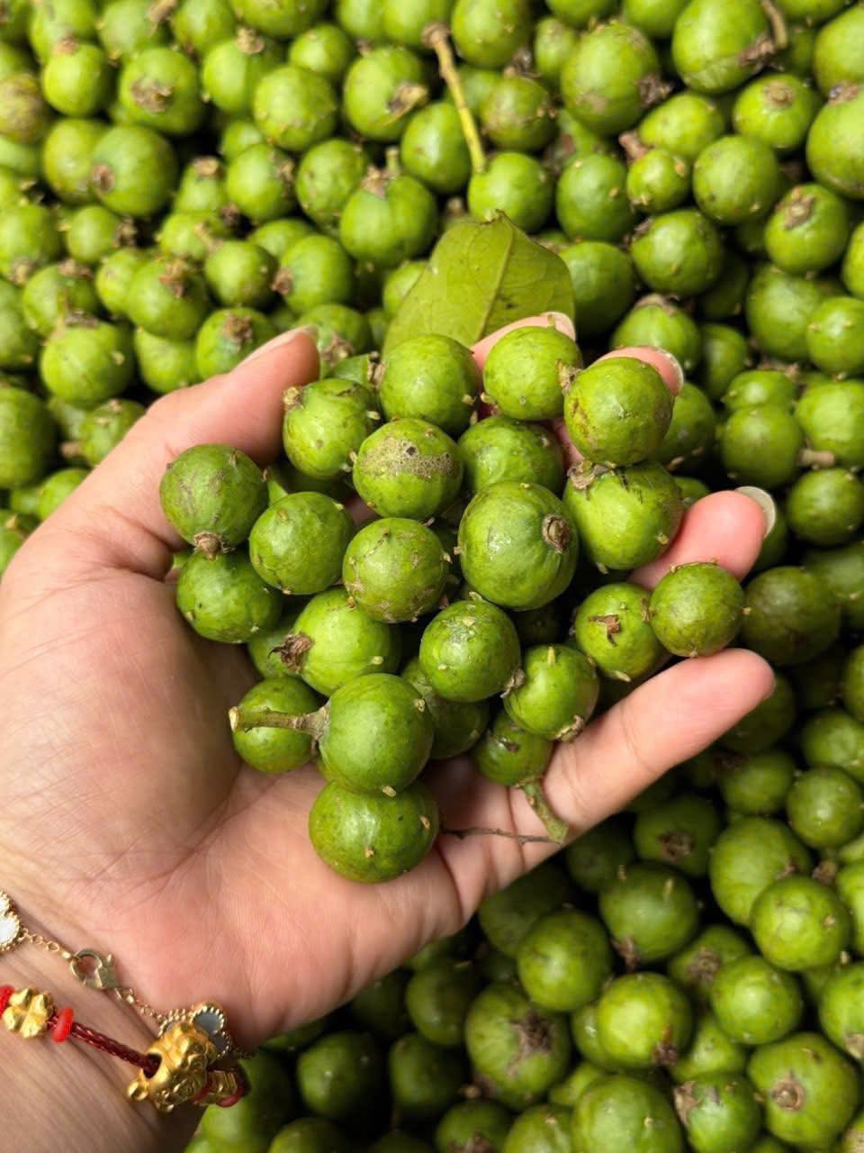 Loại quả chát xít, ngày xưa ăn với muối ớt “cho vui”, giờ thành đặc sản phố cổ Hà Nội khiến khách Tây phát cuồng- Ảnh 3. Loại quả chát xít, ngày xưa ăn với muối ớt “cho vui”, giờ thành đặc sản phố cổ Hà Nội khiến khách Tây phát cuồng- Ảnh 3.
