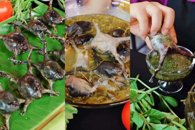 Món ăn nhìn như sinh vật lạ, nhiều người Món ăn nhìn như sinh vật lạ, nhiều người