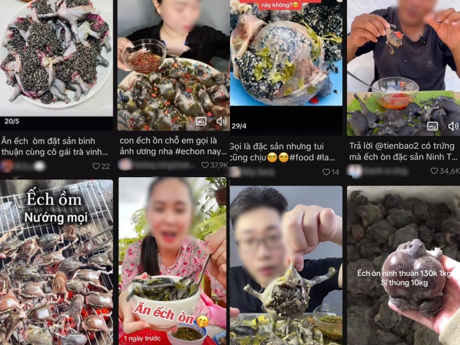 Món ăn nhìn như sinh vật lạ, nhiều người Món ăn nhìn như sinh vật lạ, nhiều người