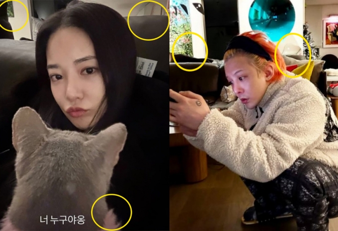 “Ông hoàng Kpop” G-Dragon chuẩn bị cưới?- Ảnh 6. “Ông hoàng Kpop” G-Dragon chuẩn bị cưới?- Ảnh 6.
