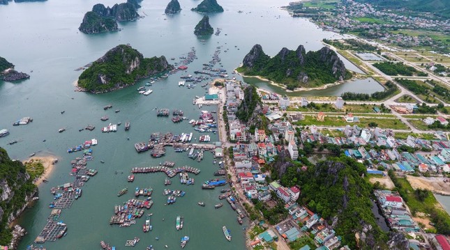 Hàng chục cán bộ ở huyện Vân Đồn xin nghỉ hưu sớm- Ảnh 1. Hàng chục cán bộ ở huyện Vân Đồn xin nghỉ hưu sớm- Ảnh 1.