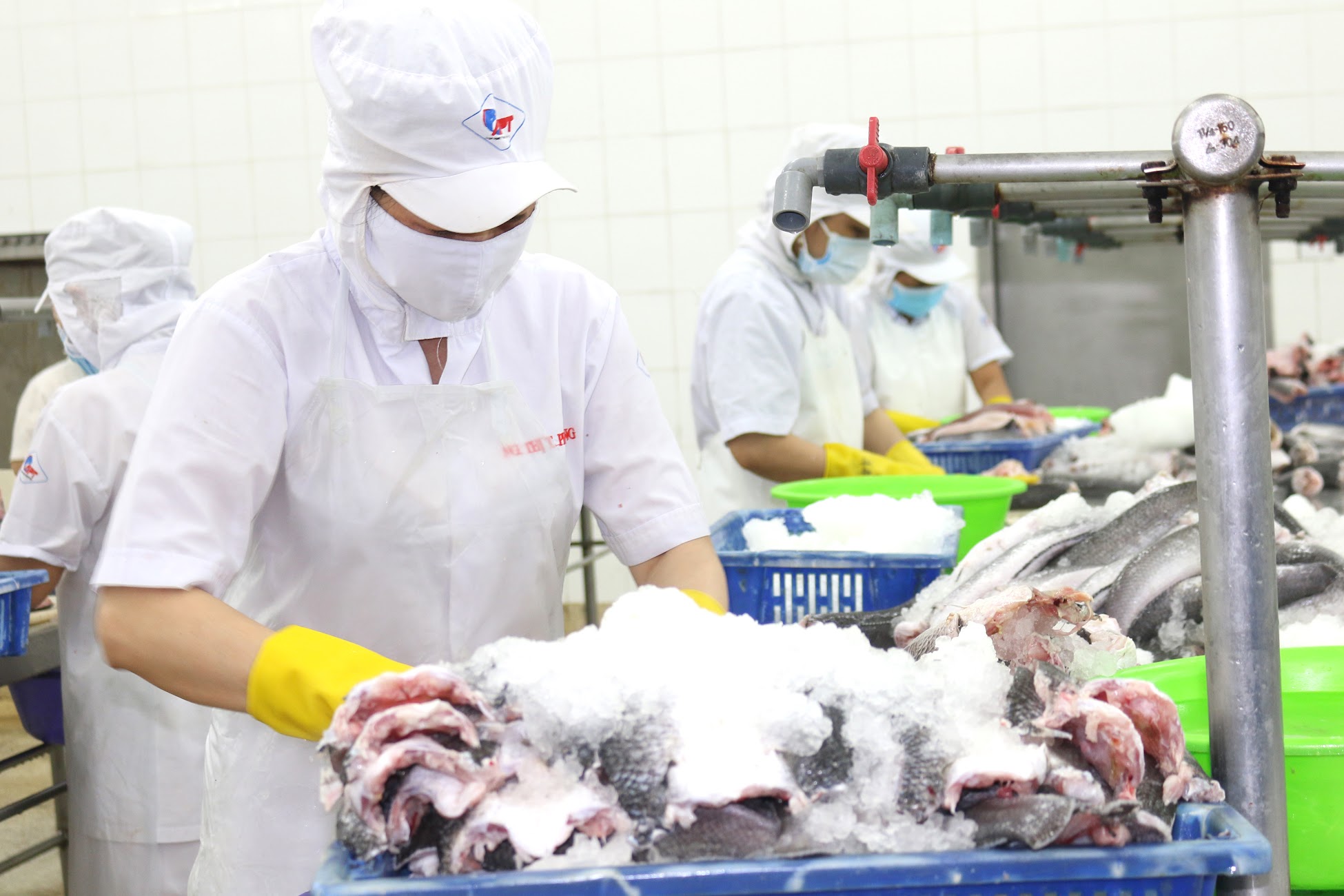 5 khoản tiền người lao động được nhận khi nghỉ việc từ năm 2025- Ảnh 1. 5 khoản tiền người lao động được nhận khi nghỉ việc từ năm 2025- Ảnh 1.