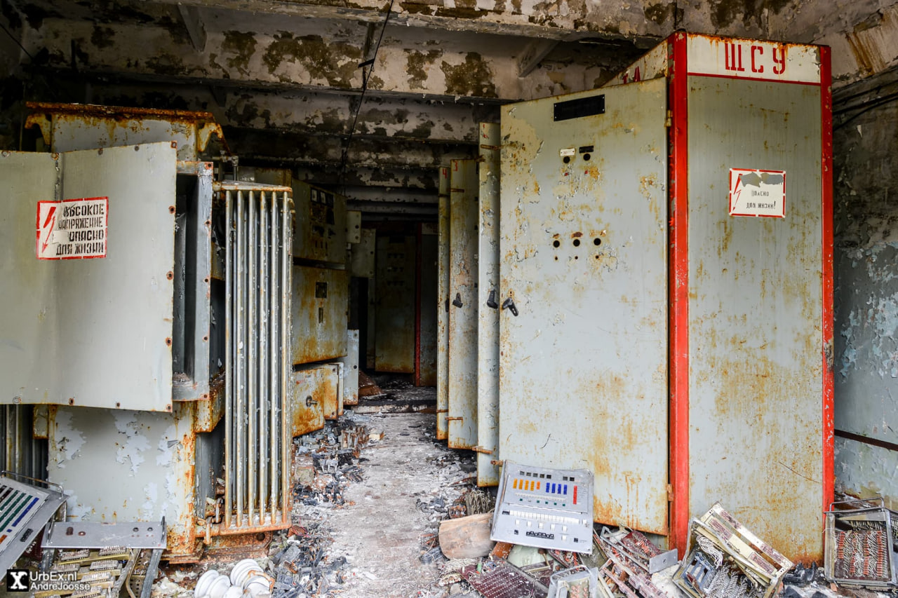 Phát hiện căn cứ tuyệt mật "ẩn náu" trong khu rừng bị nhiễm xạ ở Chernobyl nhờ âm thanh chim gõ kiến- Ảnh 2. Phát hiện căn cứ tuyệt mật "ẩn náu" trong khu rừng bị nhiễm xạ ở Chernobyl nhờ âm thanh chim gõ kiến- Ảnh 2.