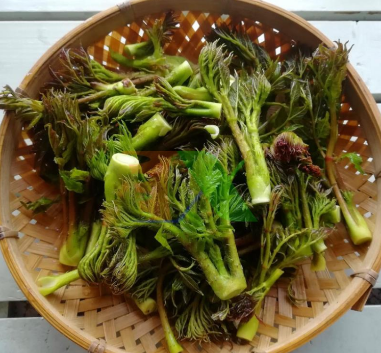 1 loại rau mọc dại ở Việt Nam nhưng được người Trung Quốc “quý như vàng”: Giá ngang thịt bò, bổ tựa nhân sâm nhưng ít người biết- Ảnh 1. 1 loại rau mọc dại ở Việt Nam nhưng được người Trung Quốc “quý như vàng”: Giá ngang thịt bò, bổ tựa nhân sâm nhưng ít người biết- Ảnh 1.