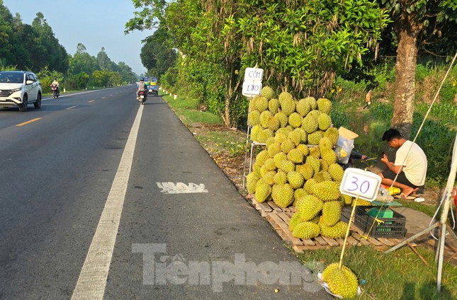 Sầu riêng ‘rẻ như bèo’ bán đầy đường- Ảnh 1. Sầu riêng ‘rẻ như bèo’ bán đầy đường- Ảnh 1.