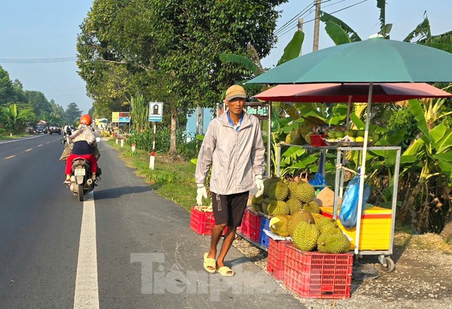 Sầu riêng ‘rẻ như bèo’ bán đầy đường- Ảnh 2. Sầu riêng ‘rẻ như bèo’ bán đầy đường- Ảnh 2.