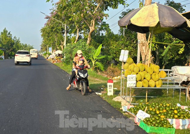 Sầu riêng ‘rẻ như bèo’ bán đầy đường- Ảnh 4. Sầu riêng ‘rẻ như bèo’ bán đầy đường- Ảnh 4.