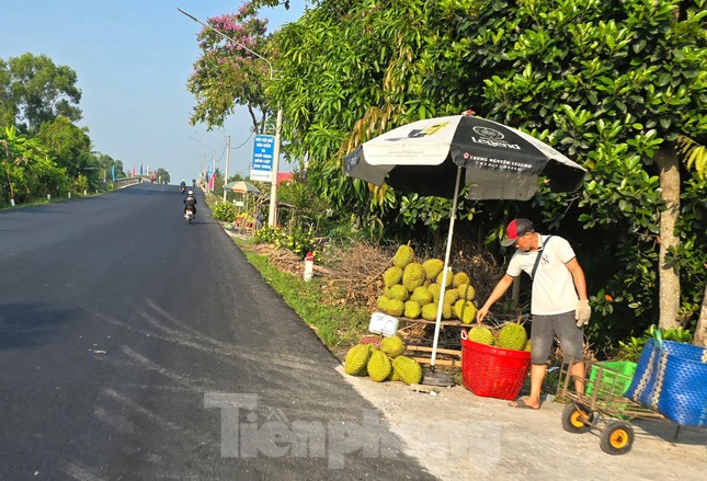 Sầu riêng ‘rẻ như bèo’ bán đầy đường- Ảnh 3. Sầu riêng ‘rẻ như bèo’ bán đầy đường- Ảnh 3.