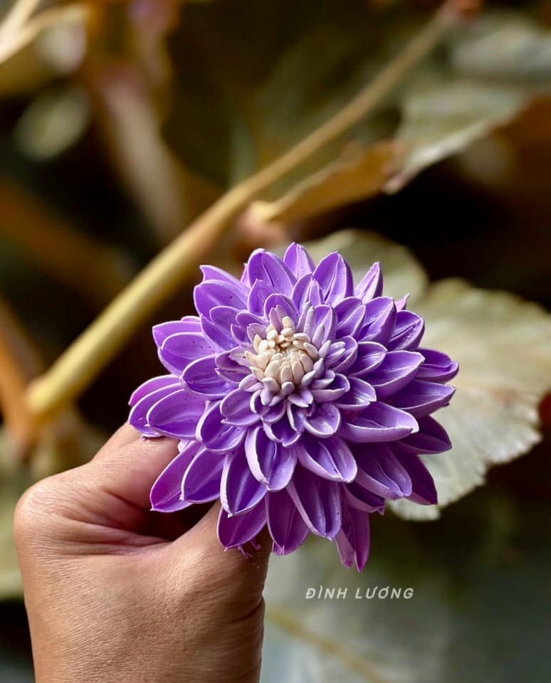 Chàng trai TP.HCM làm hoa bằng kem 'thật còn hơn cả hoa thật'- Ảnh 20. Chàng trai TP.HCM làm hoa bằng kem 'thật còn hơn cả hoa thật'- Ảnh 20.