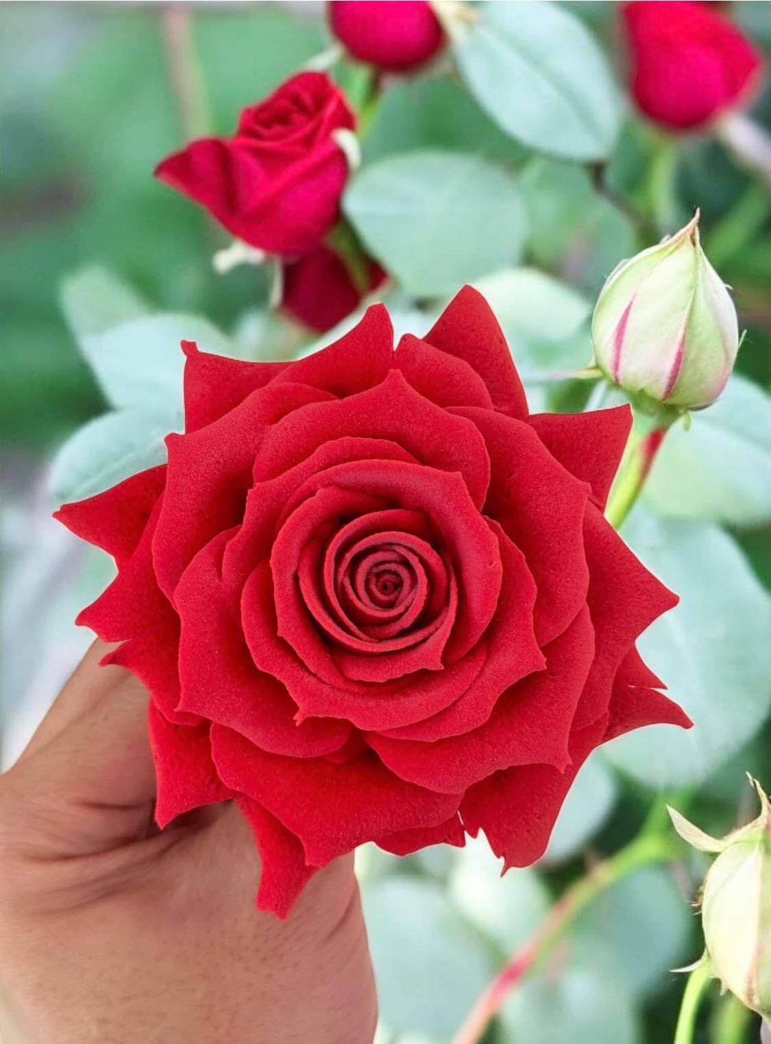 Chàng trai TP.HCM làm hoa bằng kem 'thật còn hơn cả hoa thật'- Ảnh 13. Chàng trai TP.HCM làm hoa bằng kem 'thật còn hơn cả hoa thật'- Ảnh 13.