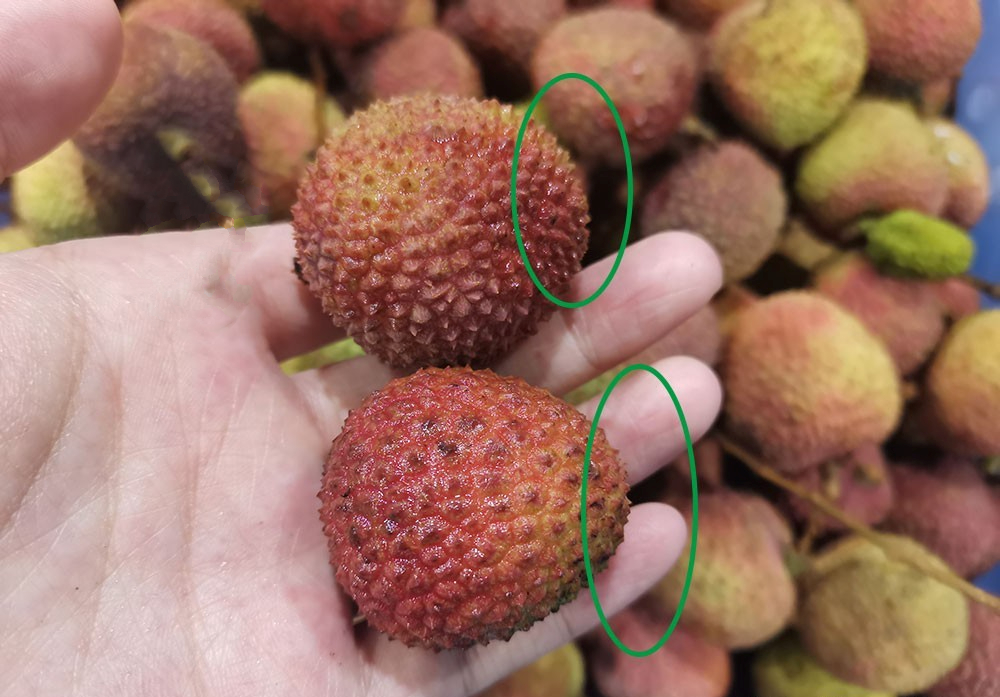 Mùa vải đến rồi, nhưng đừng vội mua nếu gặp 4 kiểu này – ai mua là tiếc đứt ruột!- Ảnh 1. Mùa vải đến rồi, nhưng đừng vội mua nếu gặp 4 kiểu này – ai mua là tiếc đứt ruột!- Ảnh 1.