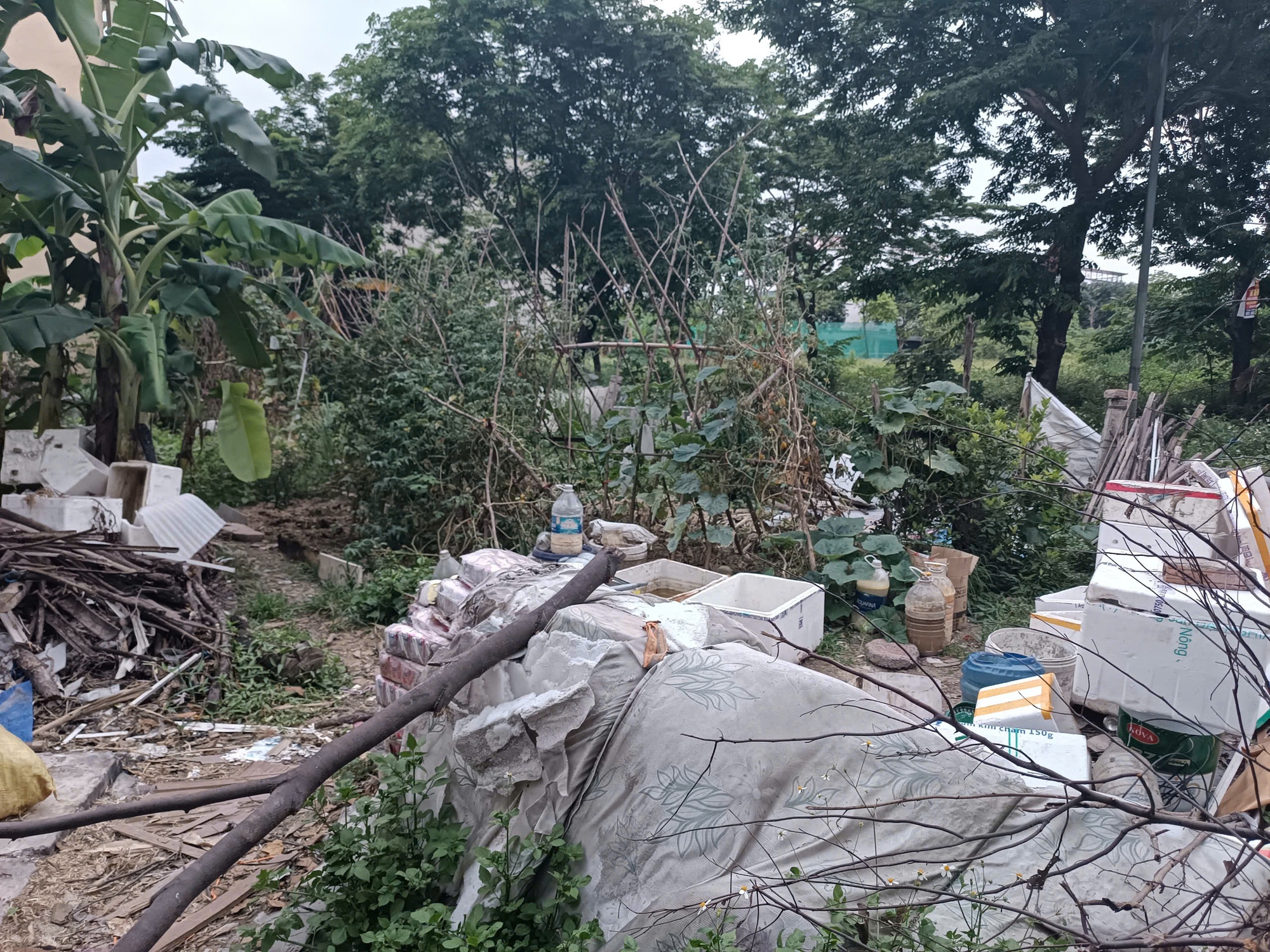 Cả chung cư phát hoảng vì thứ mùi kinh khủng, khi tìm ra nguyên nhân ai cũng phải lắc đầu ngao ngán!- Ảnh 4. Cả chung cư phát hoảng vì thứ mùi kinh khủng, khi tìm ra nguyên nhân ai cũng phải lắc đầu ngao ngán!- Ảnh 4.