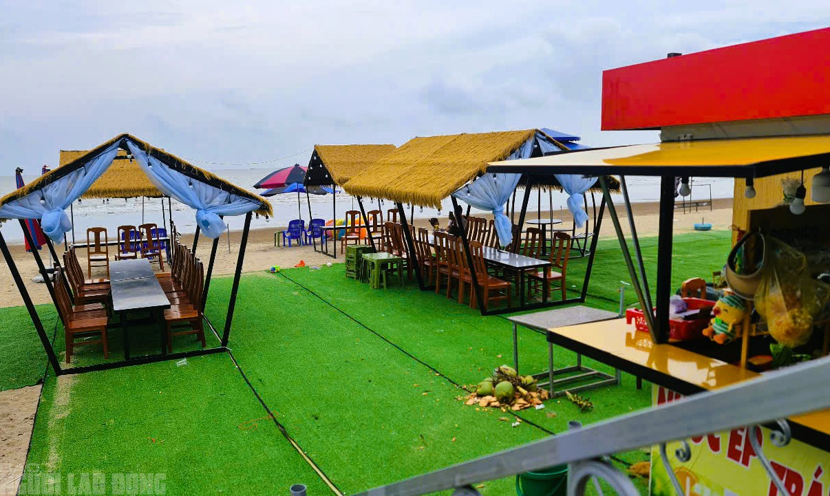 Cảnh khó tin ở bãi biển nổi tiếng ở Thanh Hóa- Ảnh 4. Cảnh khó tin ở bãi biển nổi tiếng ở Thanh Hóa- Ảnh 4.