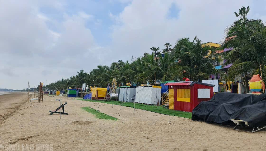 Cảnh khó tin ở bãi biển nổi tiếng ở Thanh Hóa- Ảnh 10. Cảnh khó tin ở bãi biển nổi tiếng ở Thanh Hóa- Ảnh 10.