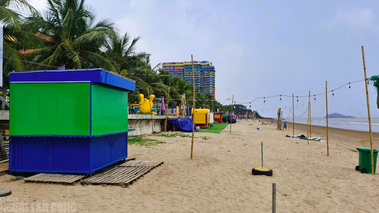 Cảnh khó tin ở bãi biển nổi tiếng ở Thanh Hóa- Ảnh 11. Cảnh khó tin ở bãi biển nổi tiếng ở Thanh Hóa- Ảnh 11.