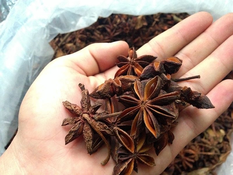 Việt Nam sở hữu "cánh hoa nghìn tỷ" thuộc hàng hiếm thế giới, vừa thu về 22 triệu USD, được Ấn Độ săn lùng- Ảnh 1. Việt Nam sở hữu "cánh hoa nghìn tỷ" thuộc hàng hiếm thế giới, vừa thu về 22 triệu USD, được Ấn Độ săn lùng- Ảnh 1.