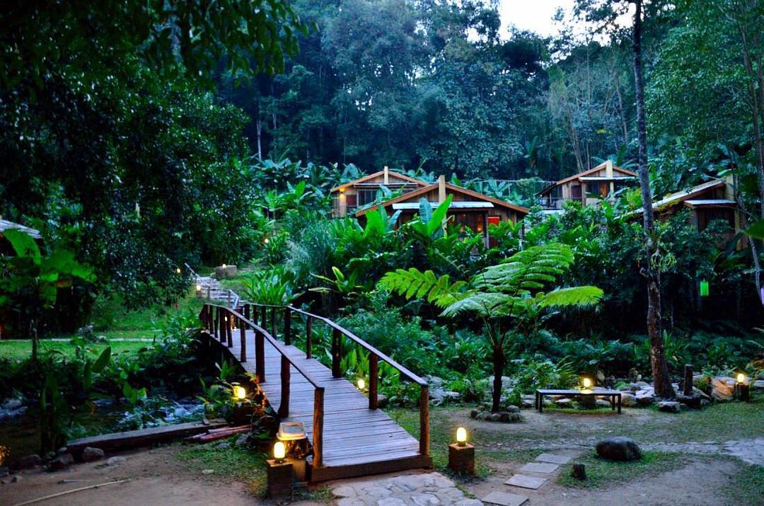 "Nuôi mộng xây homestay vừa nghỉ dưỡng vừa sinh lời, chưa đầy 2 năm tôi muốn bán cắt lỗ"- Ảnh 1. "Nuôi mộng xây homestay vừa nghỉ dưỡng vừa sinh lời, chưa đầy 2 năm tôi muốn bán cắt lỗ"- Ảnh 1.