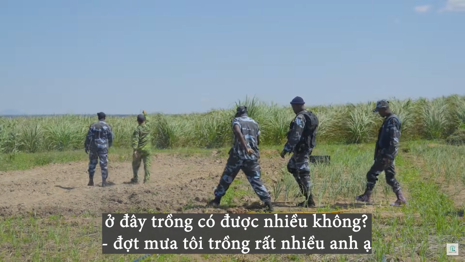 Cảnh sát bất ngờ đến trang trại team Quang Linh châu Phi, chuyện gì đã xảy ra?- Ảnh 3. Cảnh sát bất ngờ đến trang trại team Quang Linh châu Phi, chuyện gì đã xảy ra?- Ảnh 3.