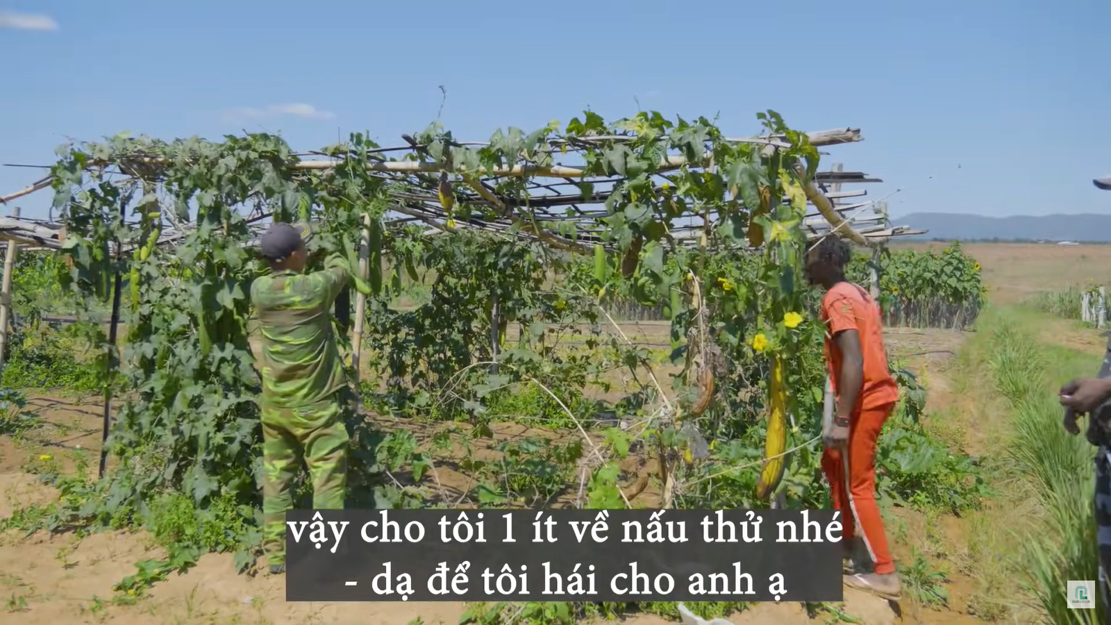 Cảnh sát bất ngờ đến trang trại team Quang Linh châu Phi, chuyện gì đã xảy ra?- Ảnh 4. Cảnh sát bất ngờ đến trang trại team Quang Linh châu Phi, chuyện gì đã xảy ra?- Ảnh 4.