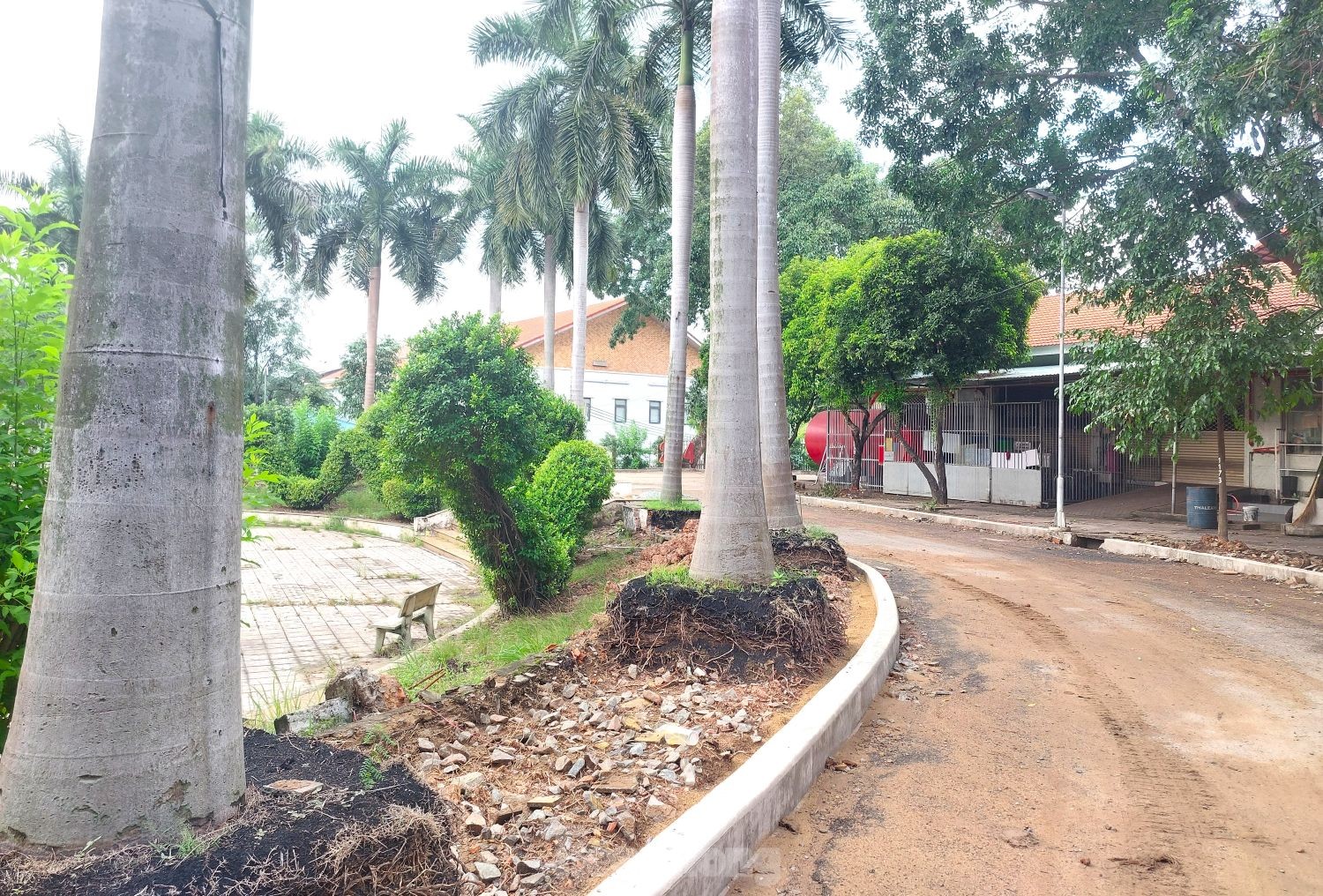 Hình ảnh công viên lớn nhất Bình Dương đang ‘lột xác’ trước khi về với TPHCM- Ảnh 7. Hình ảnh công viên lớn nhất Bình Dương đang ‘lột xác’ trước khi về với TPHCM- Ảnh 7.