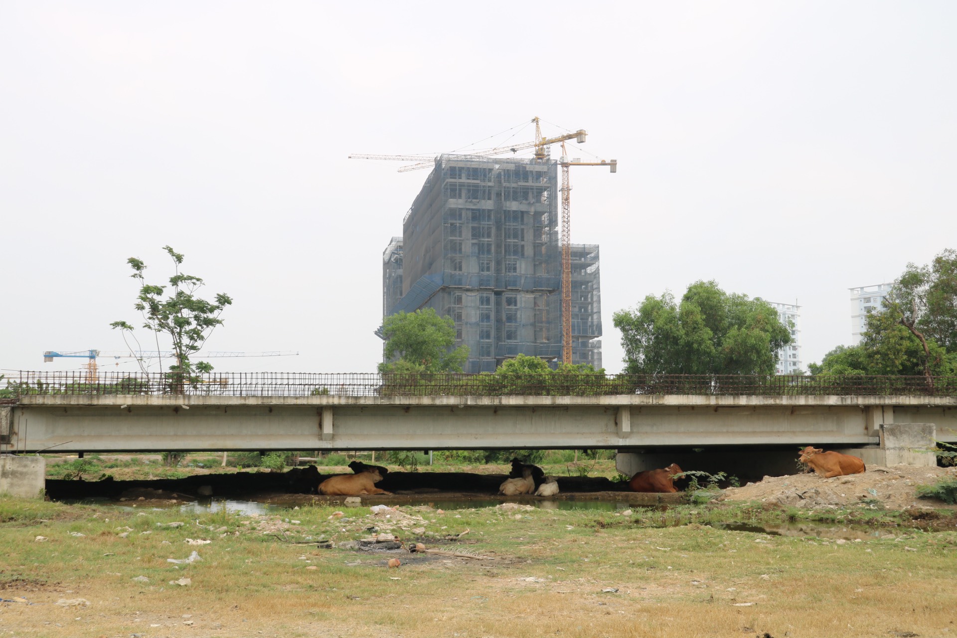 Đoạn Vành đai 2 “ngủ quên” giữa lòng TP Thủ Đức- Ảnh 1. Đoạn Vành đai 2 “ngủ quên” giữa lòng TP Thủ Đức- Ảnh 1.