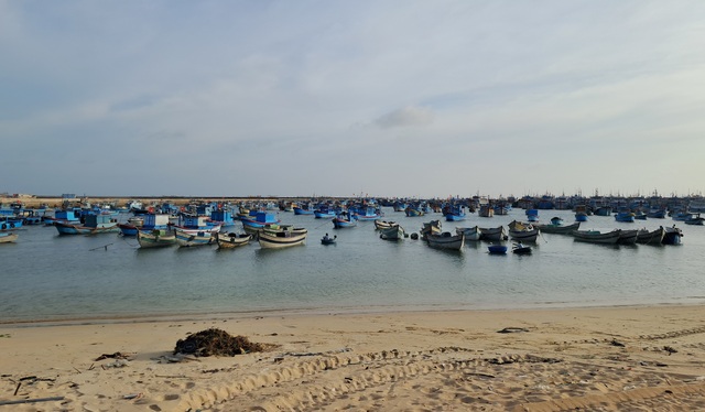 Thuyền trưởng tàu cá tử vong do tai nạn lặn biển- Ảnh 1. Thuyền trưởng tàu cá tử vong do tai nạn lặn biển- Ảnh 1.