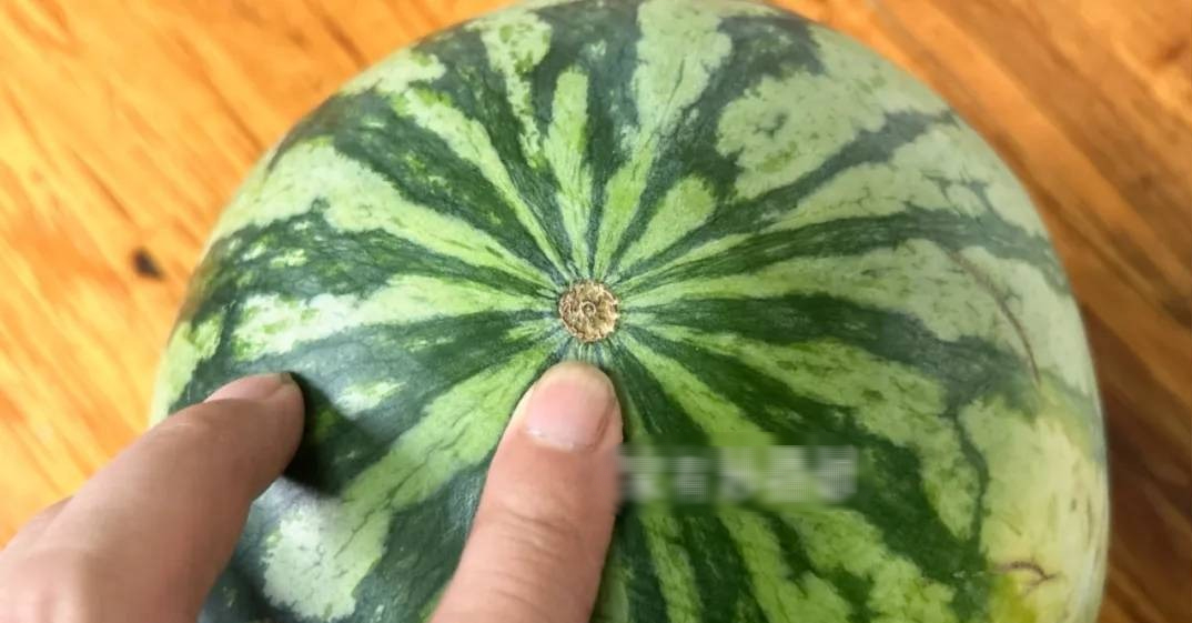 Không cần vỗ rát tay, nhìn đúng 3 điểm này là chọn được dưa hấu mọng nước, ngọt lịm tim!- Ảnh 2. Không cần vỗ rát tay, nhìn đúng 3 điểm này là chọn được dưa hấu mọng nước, ngọt lịm tim!- Ảnh 2.
