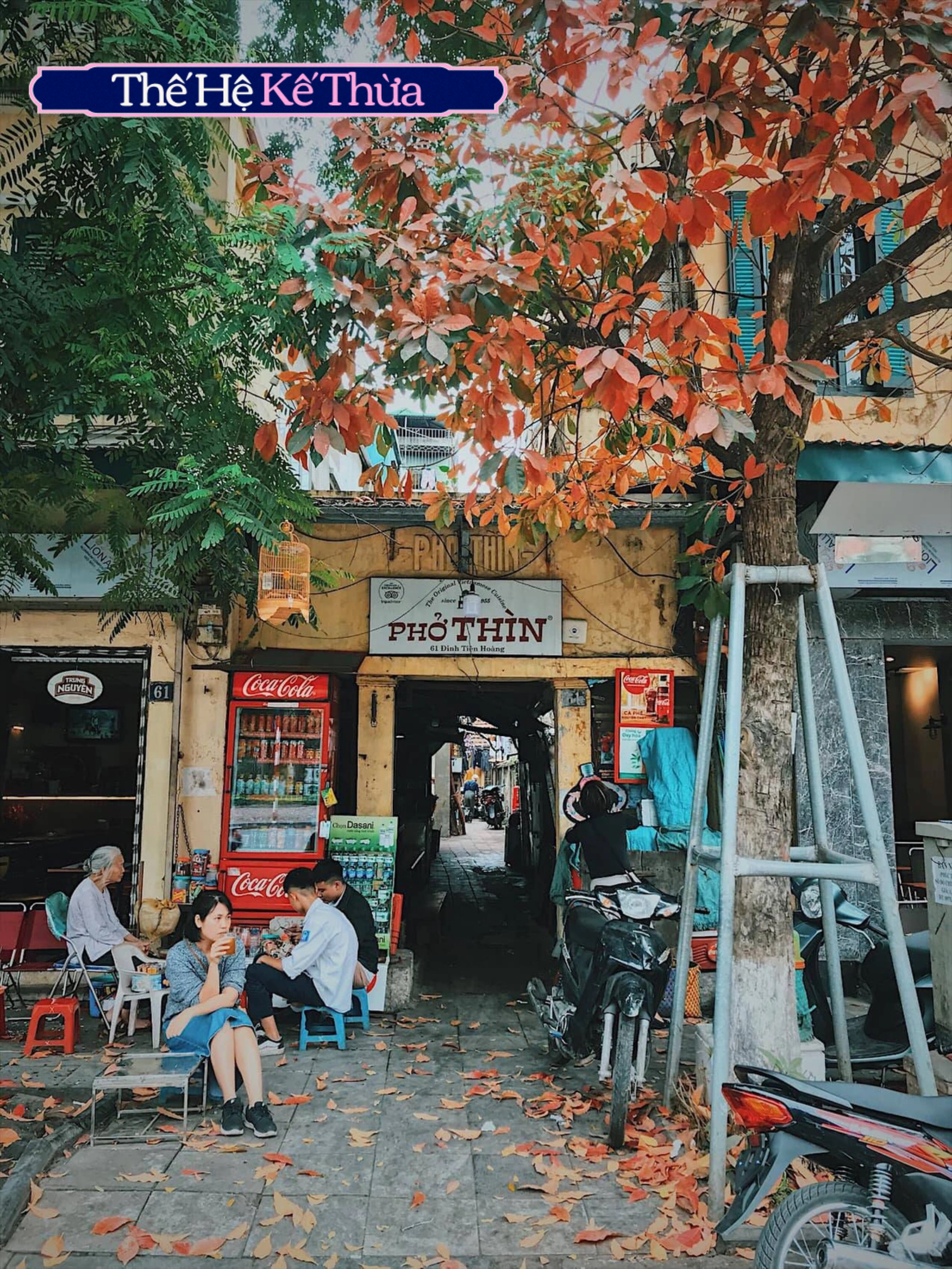 "Bát phở của ông, hoài bão của cháu": Khi thế hệ kế thừa đời thứ 3 của Phở Thìn Bờ Hồ chắp cánh "di sản ẩm thực" Thủ đô- Ảnh 8. "Bát phở của ông, hoài bão của cháu": Khi thế hệ kế thừa đời thứ 3 của Phở Thìn Bờ Hồ chắp cánh "di sản ẩm thực" Thủ đô- Ảnh 8.