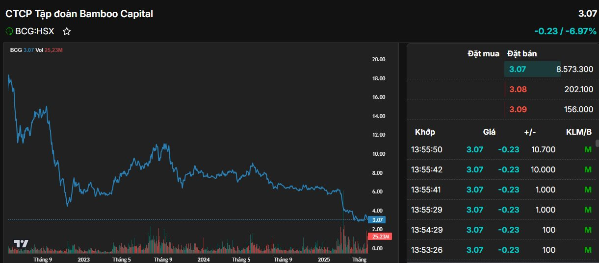 Đang tăng "nóng", Bamboo Capital quay đầu giảm kịch sàn sau khi bị hạn chế giao dịch- Ảnh 1. Đang tăng "nóng", Bamboo Capital quay đầu giảm kịch sàn sau khi bị hạn chế giao dịch- Ảnh 1.