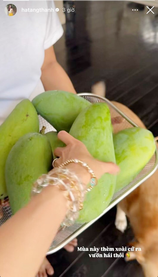 Tăng Thanh Hà khoe "góc bình dân" trong không gian sống bạc tỷ- Ảnh 13. Tăng Thanh Hà khoe "góc bình dân" trong không gian sống bạc tỷ- Ảnh 13.