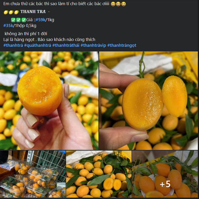 Loại quả dùng để nấu canh chua ngon hơn sấu, được ví như thuốc bổ, bán đầy chợ giá chỉ vài chục nghìn/cân- Ảnh 4. Loại quả dùng để nấu canh chua ngon hơn sấu, được ví như thuốc bổ, bán đầy chợ giá chỉ vài chục nghìn/cân- Ảnh 4.
