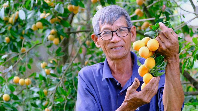 Loại quả dùng để nấu canh chua ngon hơn sấu, được ví như thuốc bổ, bán đầy chợ giá chỉ vài chục nghìn/cân- Ảnh 2. Loại quả dùng để nấu canh chua ngon hơn sấu, được ví như thuốc bổ, bán đầy chợ giá chỉ vài chục nghìn/cân- Ảnh 2.