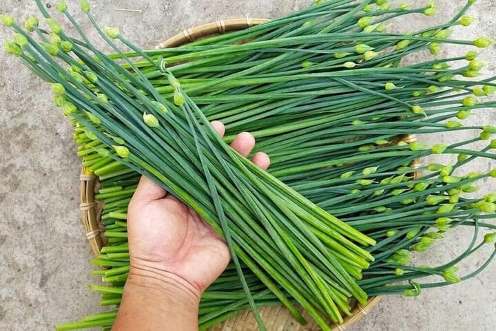 8 loại rau yên tâm mua ở chợ, không lo thuốc trừ sâu- Ảnh 3. 8 loại rau yên tâm mua ở chợ, không lo thuốc trừ sâu- Ảnh 3.