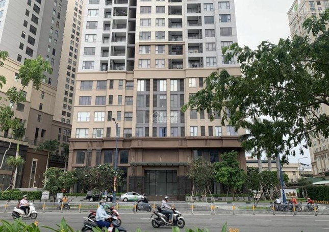 Hơn 71.000 nhà đất ở TPHCM được gỡ vướng để cấp sổ hồng- Ảnh 1.