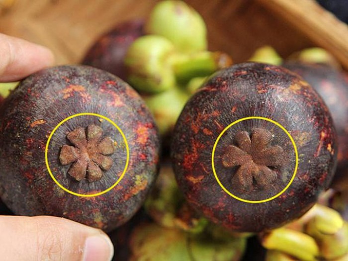 4 mẹo 4 mẹo