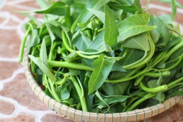 8 loại rau yên tâm mua ở chợ, không lo thuốc trừ sâu- Ảnh 1. 8 loại rau yên tâm mua ở chợ, không lo thuốc trừ sâu- Ảnh 1.