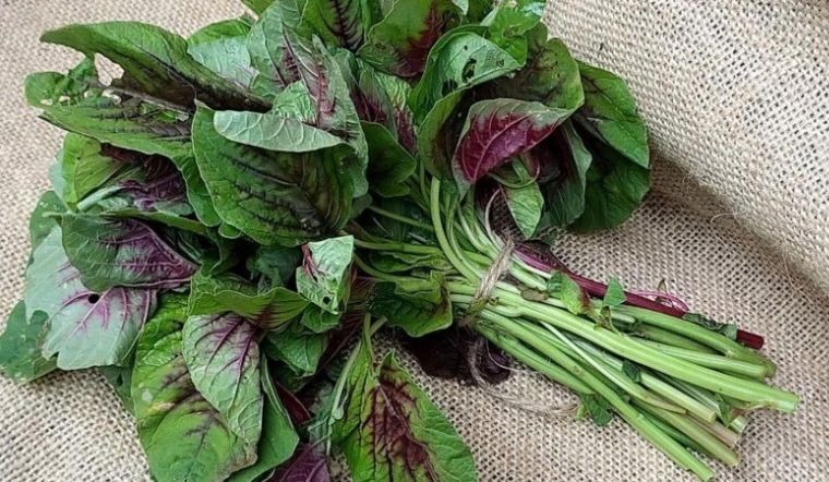 8 loại rau yên tâm mua ở chợ, không lo thuốc trừ sâu- Ảnh 5. 8 loại rau yên tâm mua ở chợ, không lo thuốc trừ sâu- Ảnh 5.