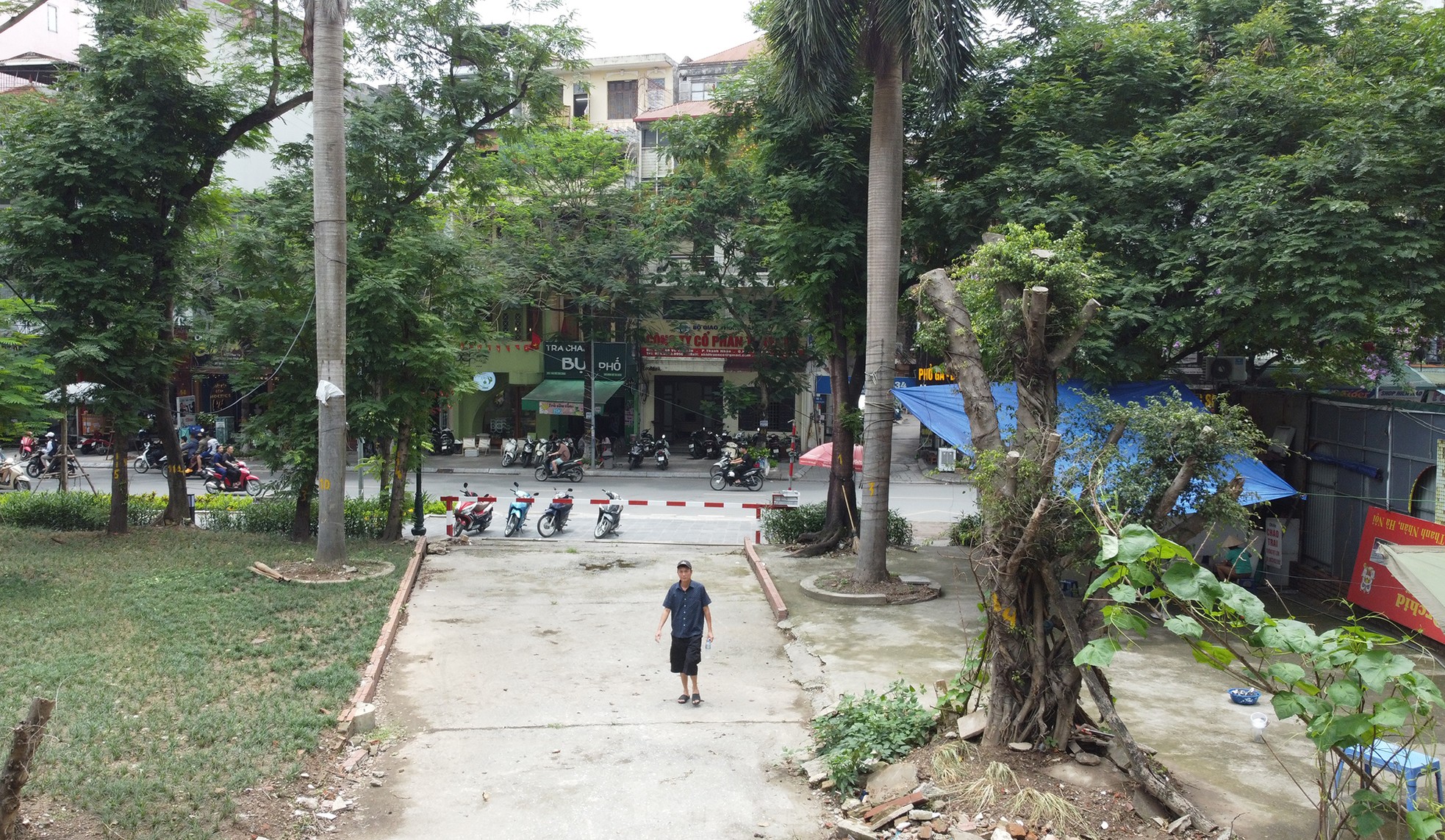 Cận cảnh 3.800m2 đất nông nghiệp sắp bị thu hồi để mở rộng công viên Tuổi trẻ Thủ đô- Ảnh 11. Cận cảnh 3.800m2 đất nông nghiệp sắp bị thu hồi để mở rộng công viên Tuổi trẻ Thủ đô- Ảnh 11.