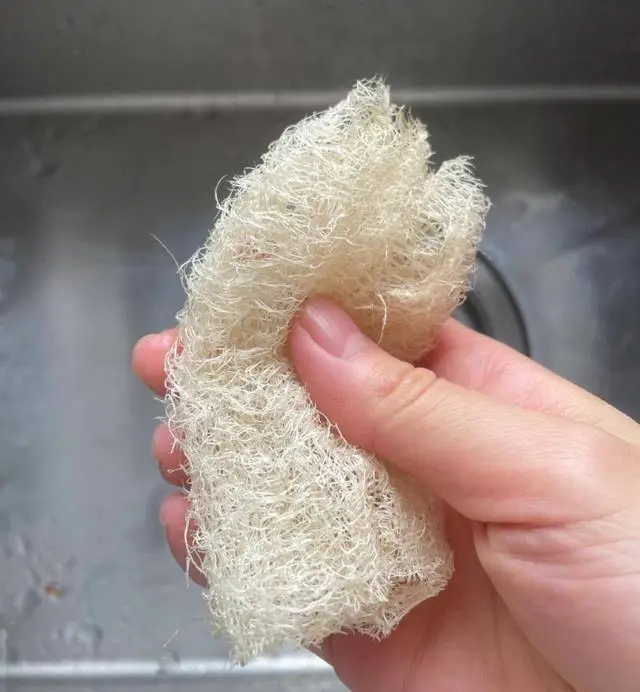 Sau một thời gian sử dụng, tôi nhận ra 6 món đồ trong nhà bẩn hơn so với tưởng tượng, nhiều người hiếm khi vệ sinh cho đúng- Ảnh 2. Sau một thời gian sử dụng, tôi nhận ra 6 món đồ trong nhà bẩn hơn so với tưởng tượng, nhiều người hiếm khi vệ sinh cho đúng- Ảnh 2.