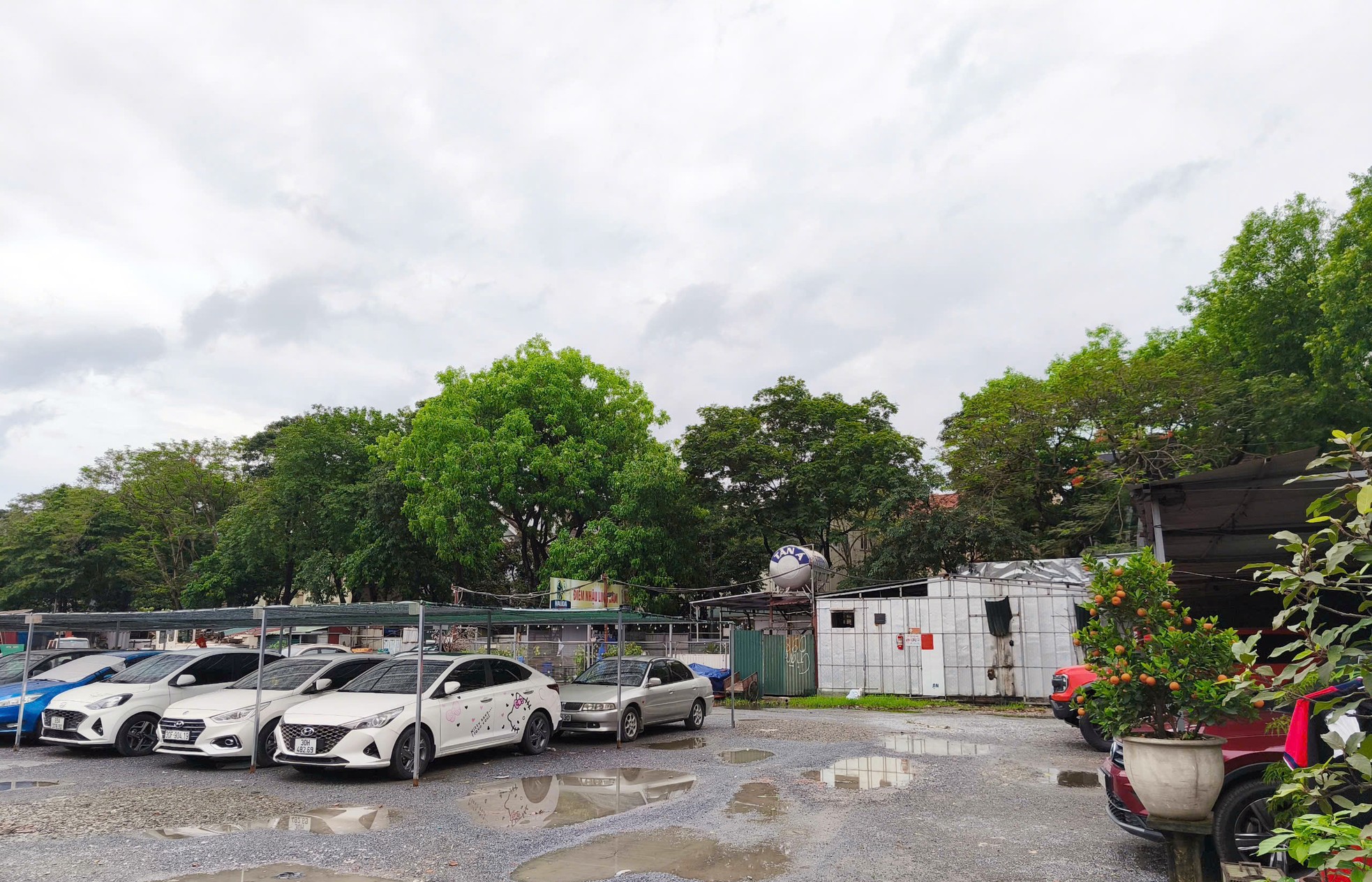 Cận cảnh bãi xe lậu nộp tiền 'bảo kê' cho Bí thư Đảng ủy phường Hoàng Liệt- Ảnh 4. Cận cảnh bãi xe lậu nộp tiền 'bảo kê' cho Bí thư Đảng ủy phường Hoàng Liệt- Ảnh 4.