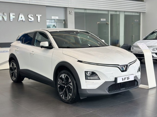 Cặp xe VinFast đã đến nước đông dân nhất thế giới: Màu sơn 'không dành để bán', tiết lộ điều gì?- Ảnh 4. Cặp xe VinFast đã đến nước đông dân nhất thế giới: Màu sơn 'không dành để bán', tiết lộ điều gì?- Ảnh 4.