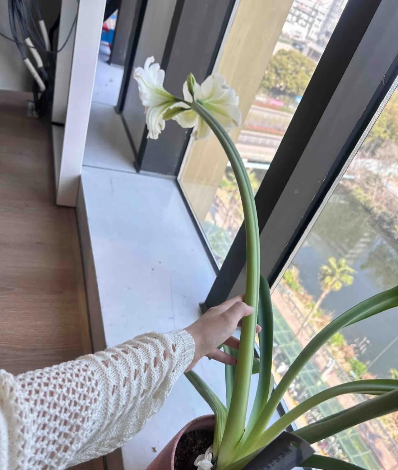 Bức ảnh đang viral chóng mặt khiến 1 triệu người thốt lên "đủ wow rồi!"- Ảnh 3. Bức ảnh đang viral chóng mặt khiến 1 triệu người thốt lên "đủ wow rồi!"- Ảnh 3.